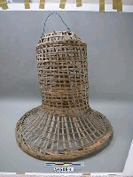 藏品(巨型蟹筌)的圖片